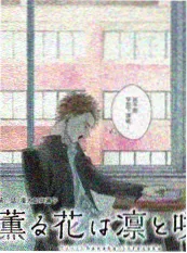 恋爱观察室综艺封面
